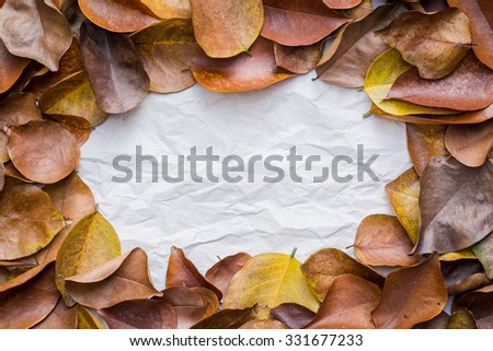 dry leaves in autumn. dry leafs background. for add text message.