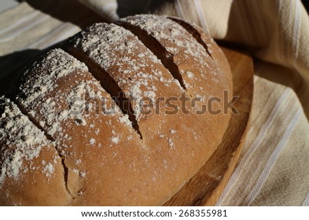 Home baked white wheat bread