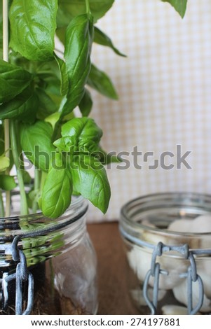 garlic basil and black pepper on wooden table and mason jar