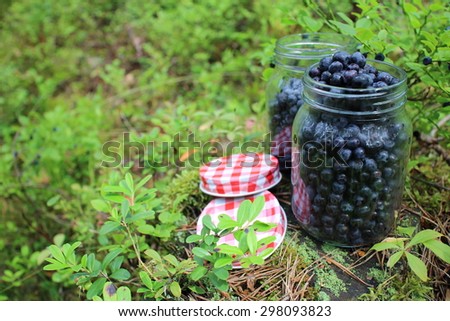 Jar with checkered cover full of blueberries in verdant forest. Moss and bushes at background.