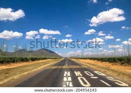 Slow Down markings on straight road in Tanzania