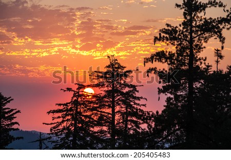 Sequoia trees silhouetted against orange, pink and red skies in Kings Canyon National Park, California