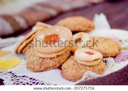 biscuits and homemade cakes on a napkin, picnic