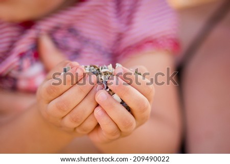 Small shells in the hands of a child, sea, summer