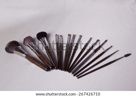Makeup Brushes. A set of brushes for make-up artist