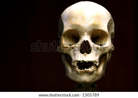 stock photo Scary Skull
