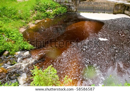 dammed up brown water with pollen on the surface in in a pond with collecting grid at the Black Forest