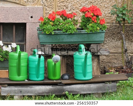 Range of plastic watering cans ready for work and pots of geraniums