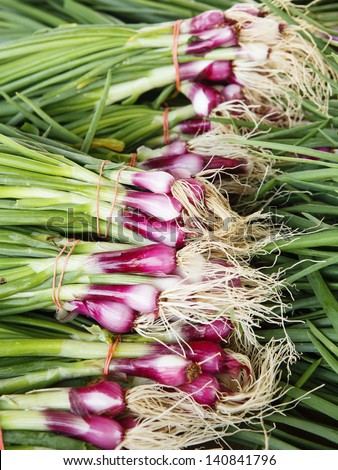 Fresh Spring Green Onions