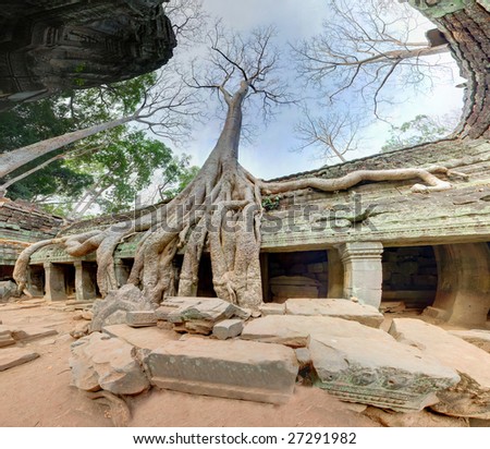 http://image.shutterstock.com/display_pic_with_logo/249301/249301,1237934831,1/stock-photo-old-giant-trees-in-angkor-wat-complex-27291982.jpg