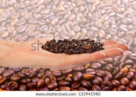 Beans of black arabic coffee in the palm