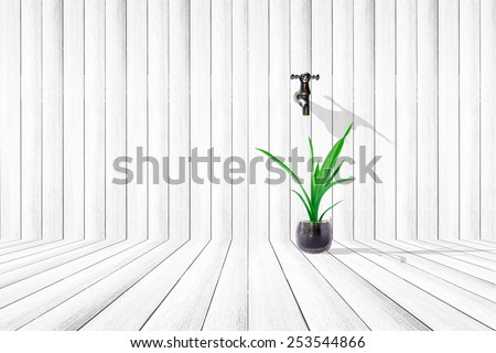 white wood texture backgrounds with tree vase faucet. Abstract.