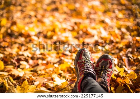 Red sneakers are on yellow leaves. Autumn sport concept