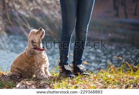 Young woman and her dog (American Cocker Spaniel) standing near lake