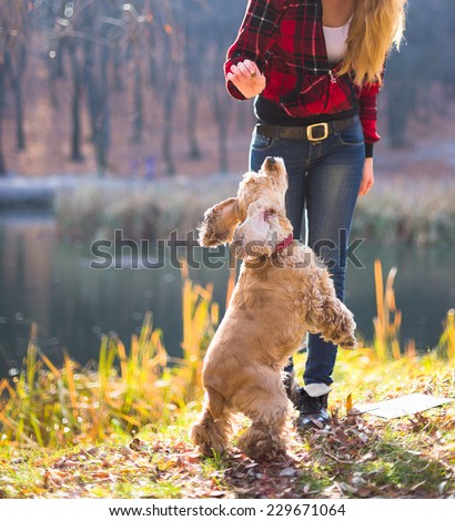 Young woman and her dog (American Cocker Spaniel) outside at fall time