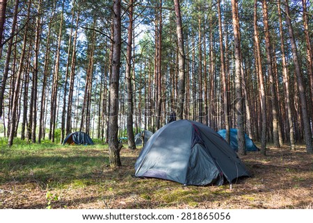 Tent camp in sunny morning lights in green forest