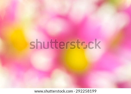 Abstract colorful mum flowers background, blurred by camera