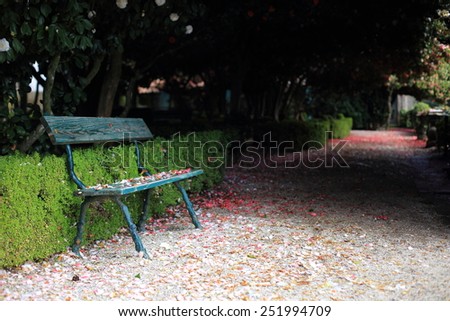 Bench in a park strewn with rose petals