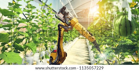 Artificial intelligence. Pollinate of fruits and vegetables with robot. Detection spray chemical. Leaf analysis and oliar fertilization. Agriculture farming technology concept.