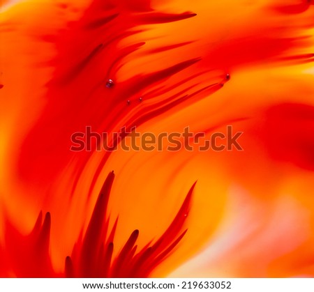 Abstract background ,red and yellow, soft and blur concept