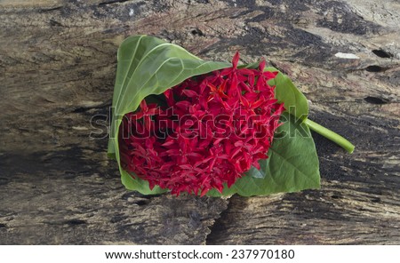 Flower bouquet red in green leaf on wooden background