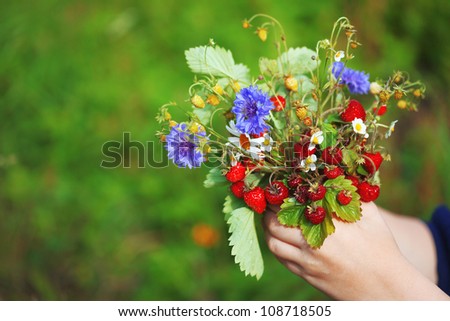 Juicy fresh bouquet of strawberries