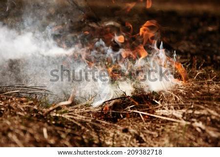 Wildfire. Fire. Global warming, environmental catastrophe. Concept man helpless before  natural disaster. Protection of the environment. Survival, the preservation of life