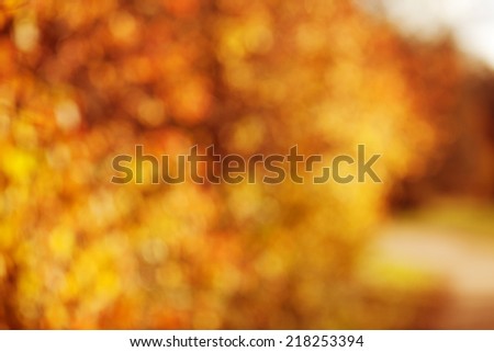 Autumn, fall background. Gold abstract bokeh defocused lights blury nature.