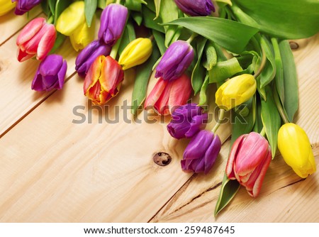 Spring Flowers bunch at wood floor texture. Beautiful Tulips bouquet gift. Easter or Mother\'s Day  background. Springtime or summertime. Invitation card design with space for your text