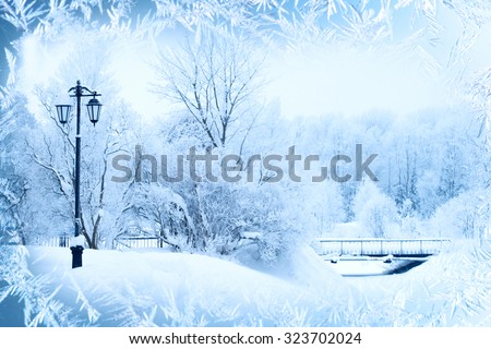 Winter background, landscape. Winter trees in wonderland. Winter scene. Christmas, New Year background
