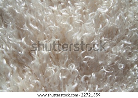 Close up of a cleaned high quality angora wool fleece