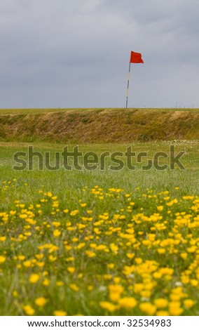 English links coastal golf course with spring flowers