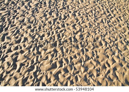 Complex beach sand ripple pattern at sunset