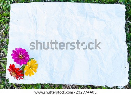 paper and flowers on green grass