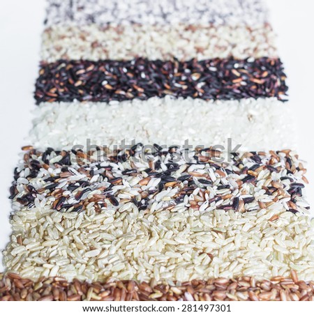 Food background with of rice variety . rice mixture. brown rice, black rice, white rice,red rice.