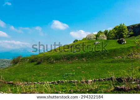 Landscape photo of the mountains in spring on a sunny day with blue sky above.