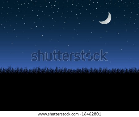 Night Sky Grass