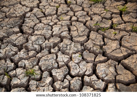 Drought has broken ground cracks because of lack of water.