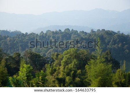 Mountain with fog Are covered in dense forest In the morning