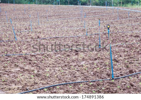 agricultural areas Farmland with irrigation systems in a systematic way.