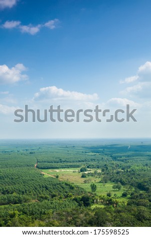 Forest and agricultural areas.Forest and agricultural areas Sky and cloud in the sky from above.
