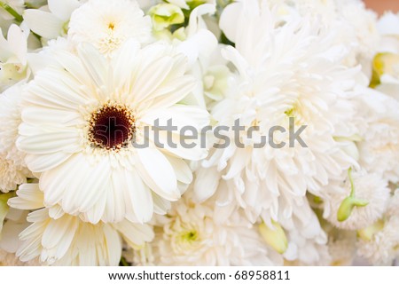 Among white, pure white flowers, fresh, clean look and help.