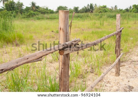 Wooden fence, grass and wood fence around the territory.