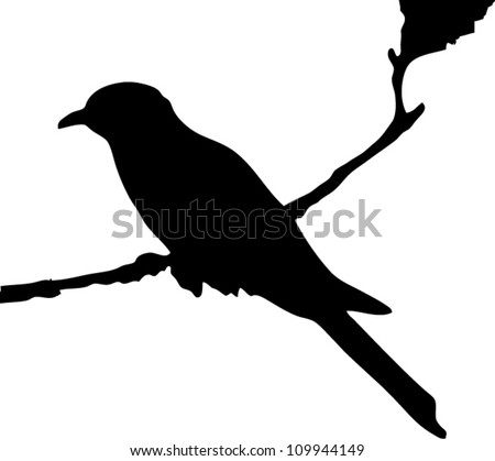 Swallow Silhouette