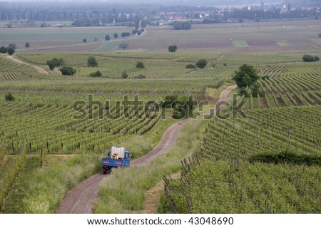 French vineyards in the Alsace area. A small farmer truck is driving down a curved road to work in the fields.