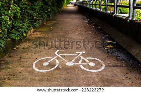 Bicycle lane with white bicycle sign riverside