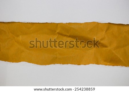 Torn Paper with space for text with creased brown paper background