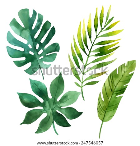 Four tropical leaves. Hand drawn leaves illustration in watercolor.