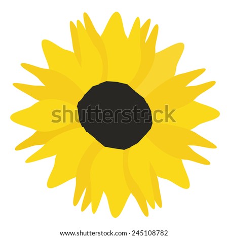 Sunflower vector isolated, yellow flower, blossoming, spring flower