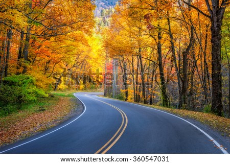 Curvy roadway and fall foliage along US 441 in the Great Smoky Mountains National Park